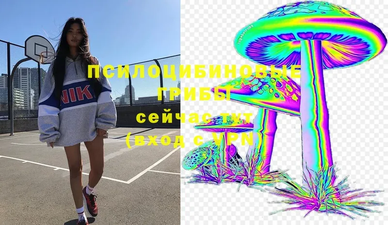 Галлюциногенные грибы Magic Shrooms  купить закладку  Чайковский 